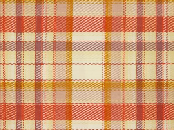 108 Edition Wide Back Fabric Collection -  Picnic on the Meadow