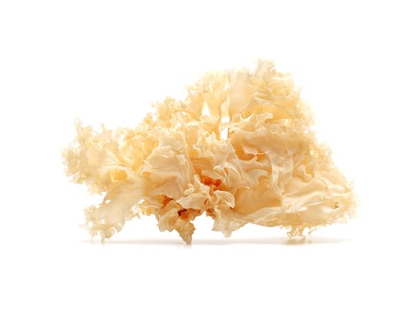 Dried White Fungus