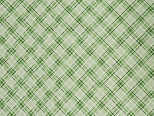 Woodland Wonderland Fabric Collection - Plaid Wonderland Green
