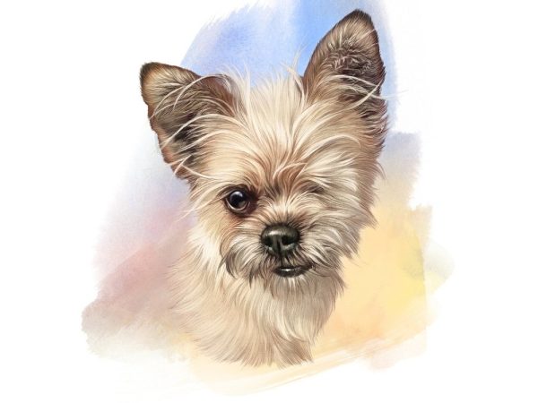 Yorkshire Terrier Portrait Fabric Panel