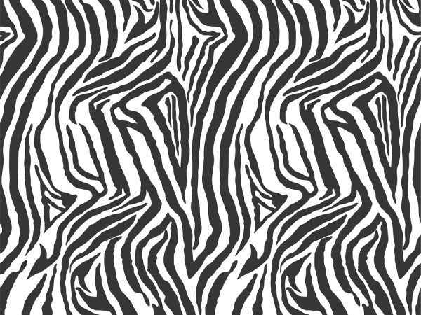 Zebra Stripes Fabric - Variation 2